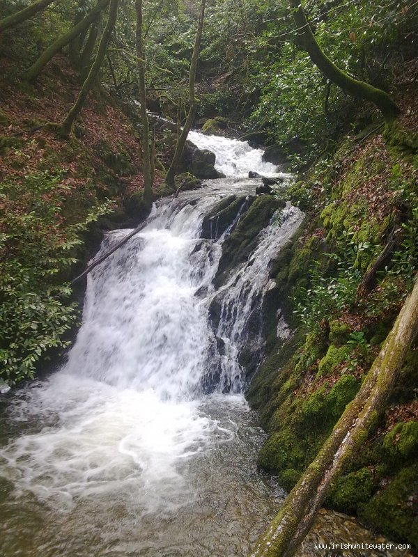  Woodstock Falls (Inistioge) River - Larger fall