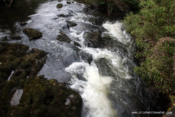  Upper Lee River - upstream from bridge (low water)