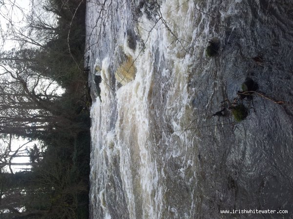  Liffey River - castletown rapids in flood