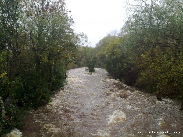  Nire River - the view upstream of the bridge at hanora's cottage where some nice person has cleared all the trees and branches that used to over hang the river thank you who ever you are