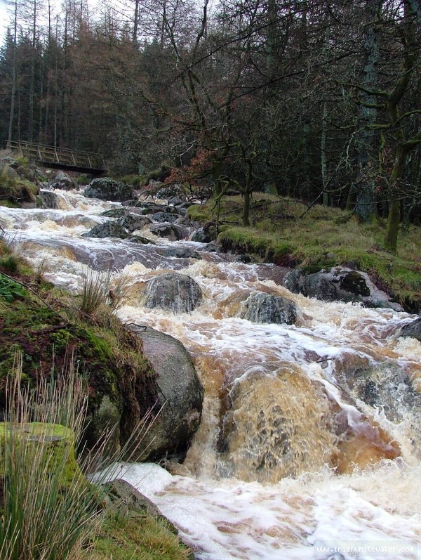  King's River River - Annalecky Brooke, Wicklow