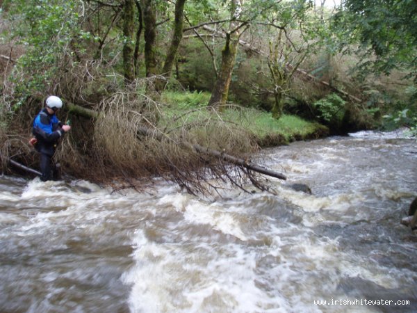  Ballintrillick River - Typical obstacle