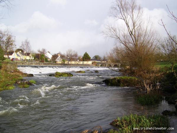  Maigue River - bruree 