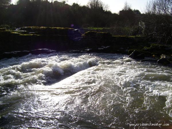  Maigue River - bruree 4