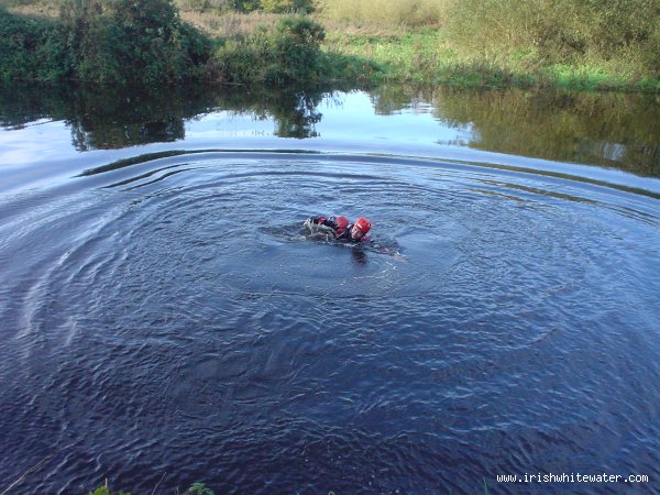  Barrow River - Seal Launching into the pool beside the carpark at clashganny