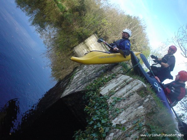  Barrow River - tony seal launching into the pool beside th e car park at clashganny