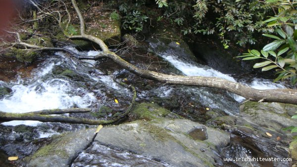  Woodstock Falls (Inistioge) River - 