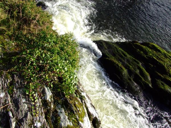  Upper Bandon River - BIG DROP, LEFT CHANNEL @ -0.1M