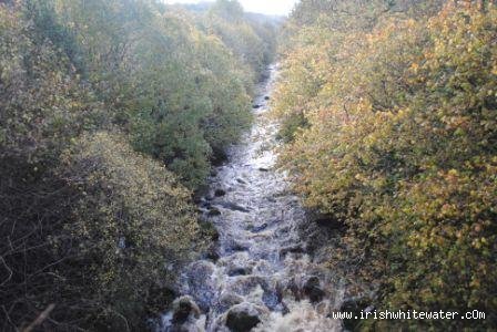  Glenarm River - View from the bridge