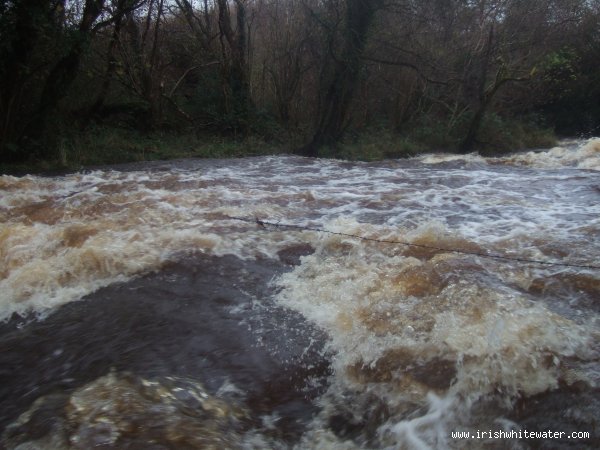  Bannagh River - Barb wire fence sometimes present