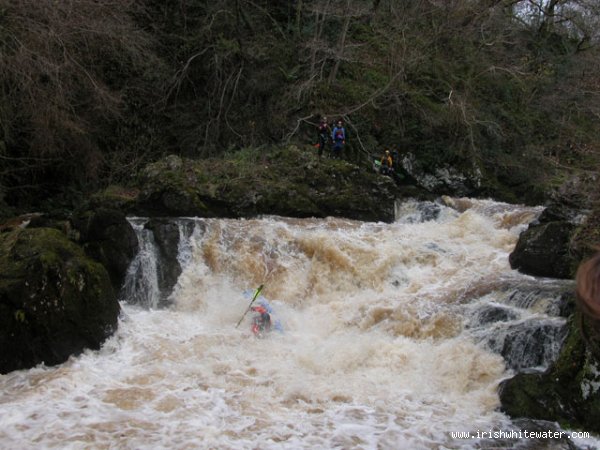  Dargle River - Drunky doing the main falls... Badly! (Med flow)