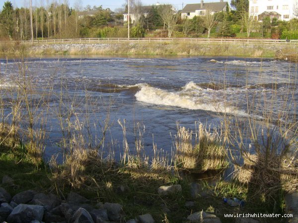  Nore River - Green's bridge Medium water