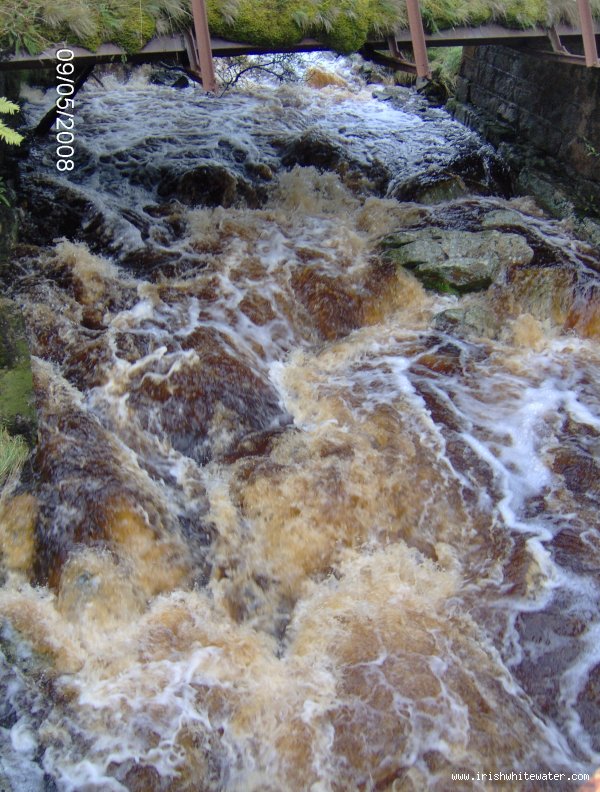  King's River River - Annalecky Brook (medium - heading towards - high