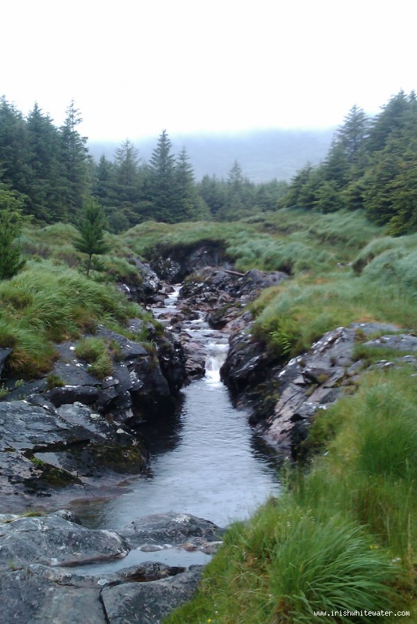  Upper Owenglin River - The main forestry section with no water.