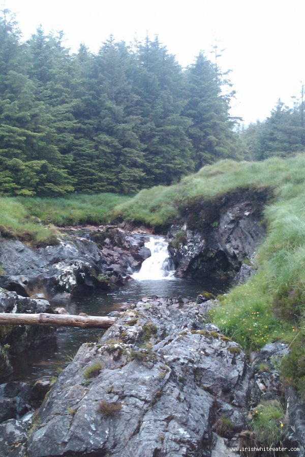  Upper Owenglin River - The main forestry section with no water.