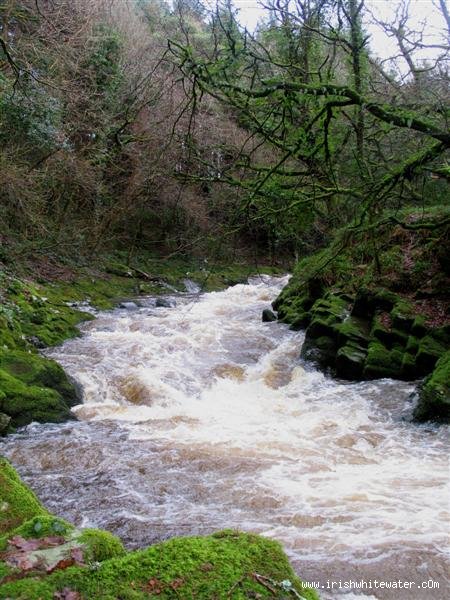  Colligan River - second and third rapids/small holes high water