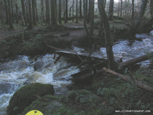  Glensheelan River - Footbridge in water at start of river, get in anywhere just below this