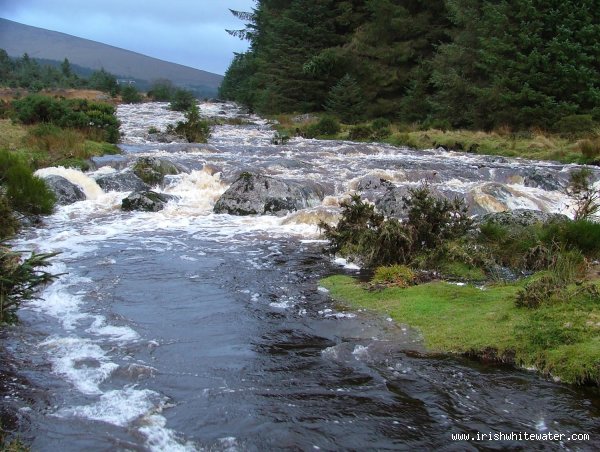  King's River River - Kings River, Wicklow