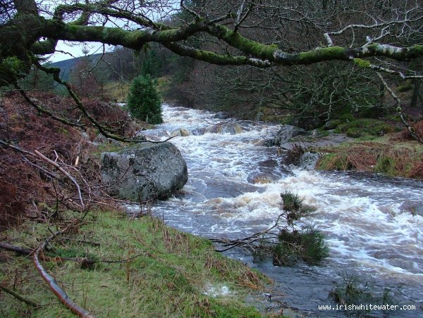  King's River River - Kings River Wicklow