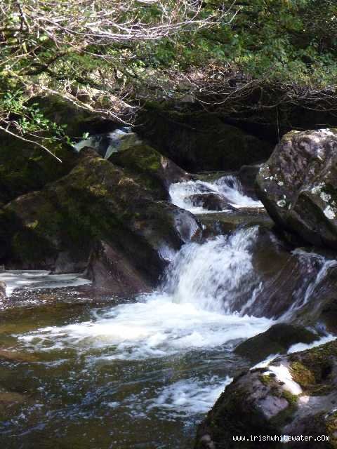  Coomeelan Stream River - Between first and second bridges