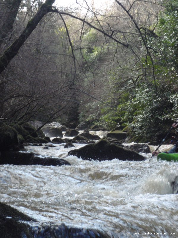  Dargle River - Boulder Garden