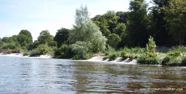  Nore River - Kilkenny Castle Weir: Centre Section..very overgrown