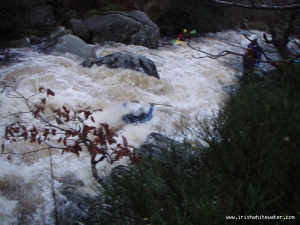  Glenmacnass River - Boulder Garden,
Medium water. Paddler Dave Cox