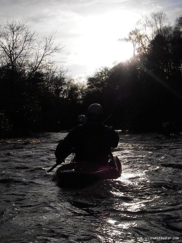  Avonmore (Annamoe) River - evening run on the Avonmore