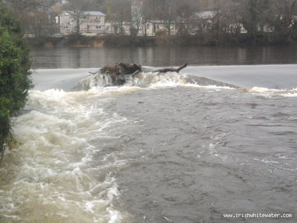  Lee River - the tree is acting as a plough and making a nice wave