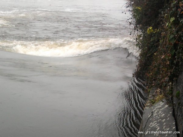  Lee River - with the tree on the weir this is the wave at the river right corner of the weir