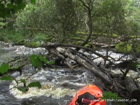  Mayo Clydagh River - Strainer at the bottom of the gorge on the lower section.Run it river left.