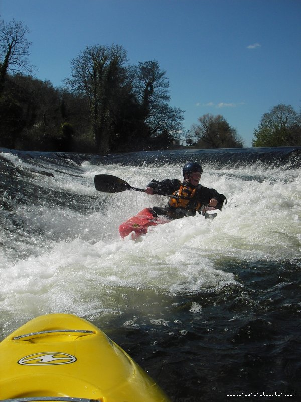  Liffey River - surfing wrens low water