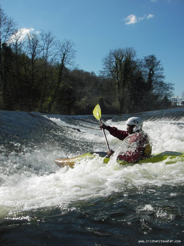  Liffey River - hope surfing wrens