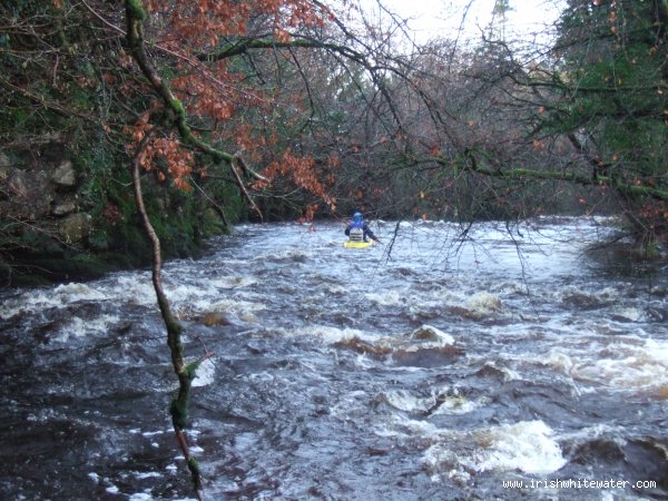  Termon River - Downstream of put in after broken weir