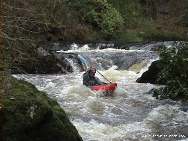  Colligan River - middle of the gorge two small drops and bend lead into salmon leap