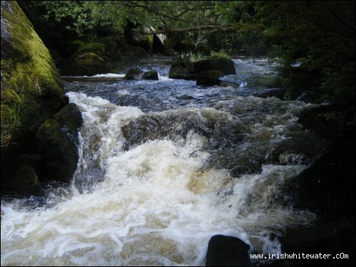  Derreen River - 