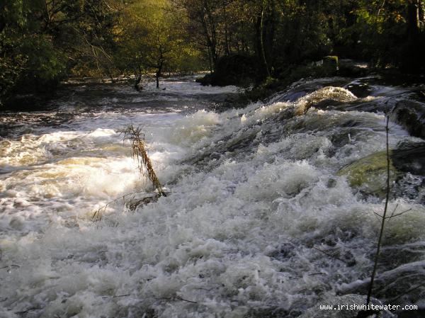  Fane River - Mill Weir / Fane River