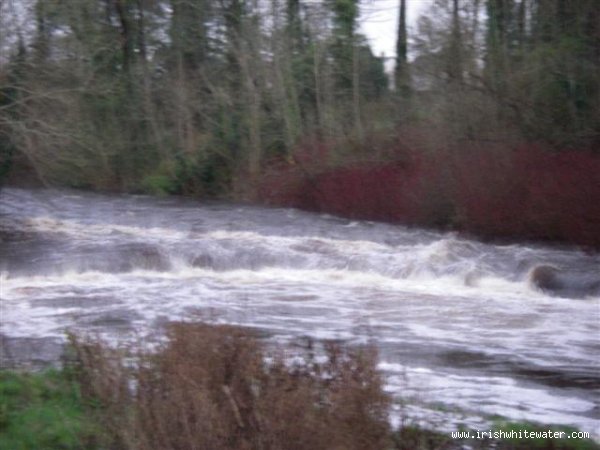  Brosna River - Poor photo, fading light