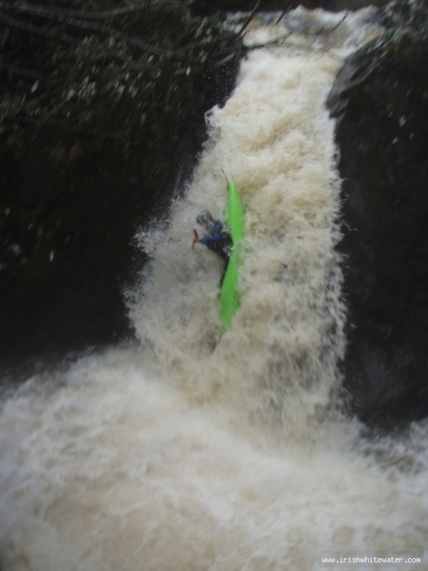  Owengar River - ray on main drop jan2011