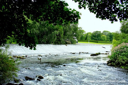  Liffey River - islandbride weir lower end