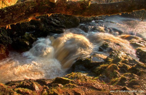  Avonmore (Annamoe) River - Jacksons 