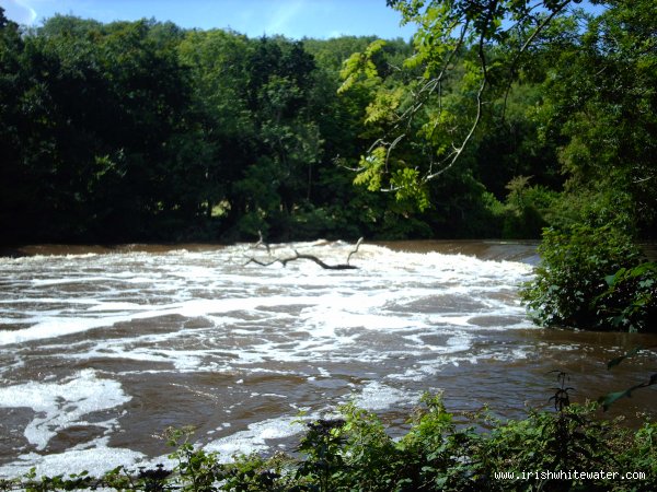  Liffey River - wrens nest weir mega water aug 08