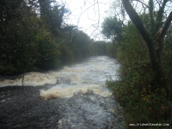  Termon River - last part of rapids prior to takeout in highwater