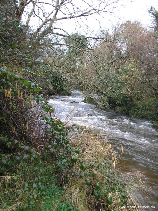  Forkhill River - 