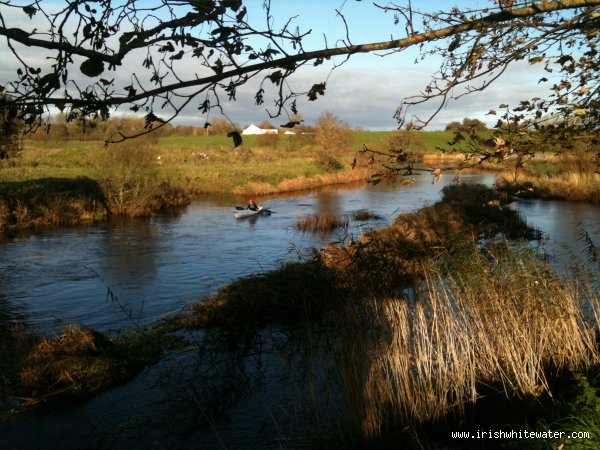  Clare River Milltown River - 6/11/11