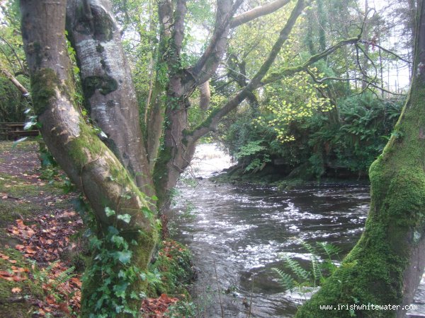  Roogagh River - LOWER FALLS