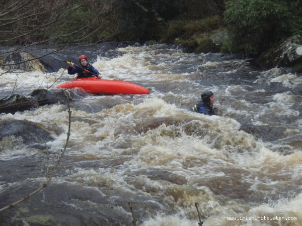  Avonmore (Annamoe) River - SWIMMER!!!