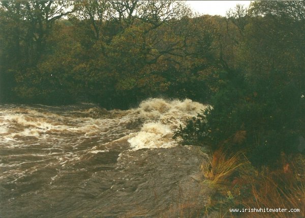  Avonmore (Annamoe) River - jackson falls at approximately 300 on the gauge, the water is running around the rescue tree. taken from river right (jacksons is about 3mtrs below green wave