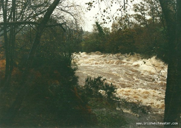  Avonmore (Annamoe) River - if the gauge went to 300 this is what jacksons run in would look like, nov 2000