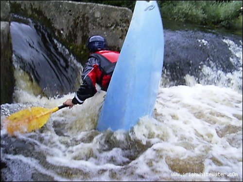  Slaney River - evan at the salmon box, tullow k/c